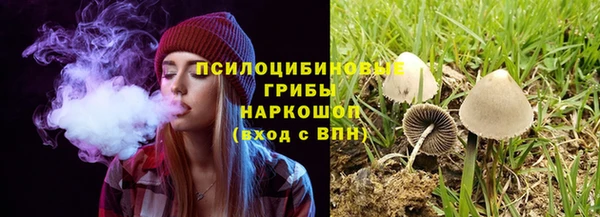 спайс Абаза