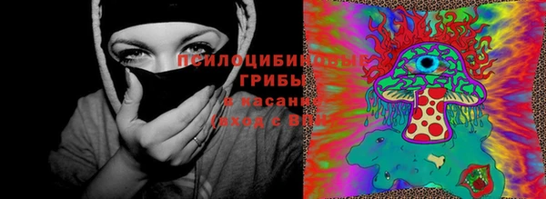 гидра Абинск
