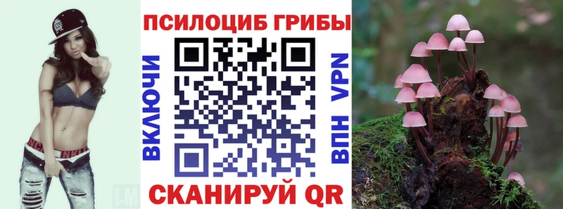 Галлюциногенные грибы ЛСД  магазин продажи   Фёдоровский 